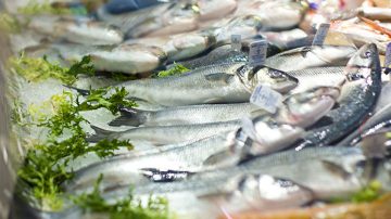 Přínos rybího masa