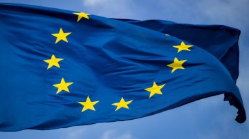 Strom vedle prosklené budovy